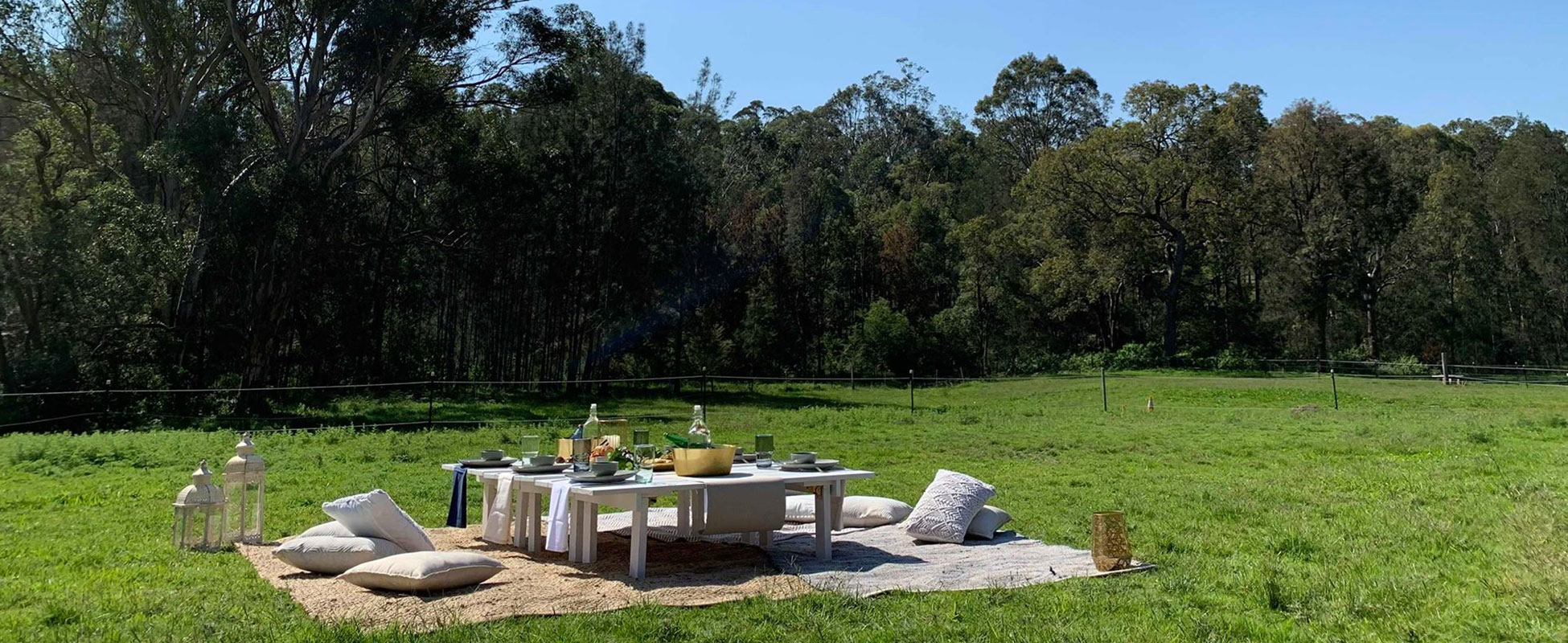 Luxury Picnic Setting