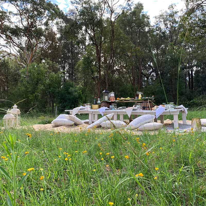 Tropical Treat Package Pixi Picnics Luxury Picnic Hire